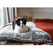 Show in main carousel: Pet Parents Premium Cat & Dog Blanket, Slate, Small slide 7 of 9