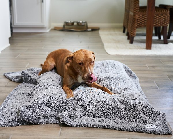 Show full view: Pet Parents Premium Cat & Dog Blanket, Slate, Large slide 7 of 10