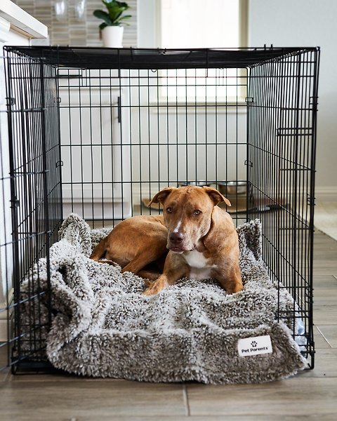 Show full view: Pet Parents Premium Cat & Dog Blanket, Slate, Large slide 8 of 10