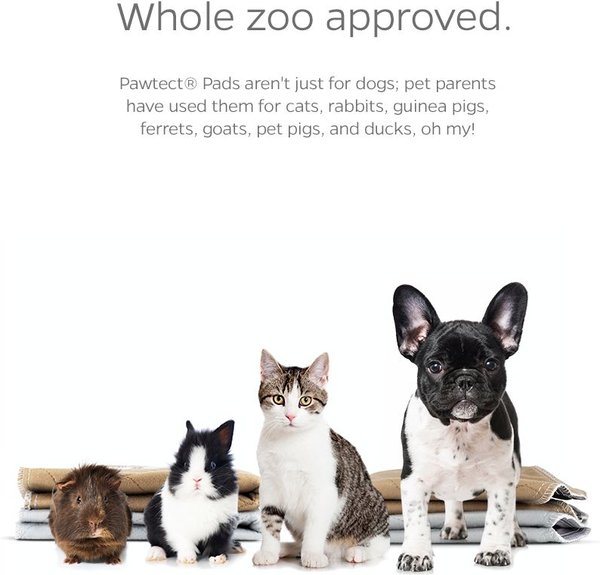 Show full view: Pet Parents Pawtect Pads Washable Dog & Cat Pee Pads, 2 Count, Grey & Beige, 18 x 24-in slide 7 of 10