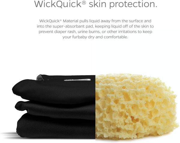 Show full view: Pet Parents Belly Band Washable Male Dog Wrap + Extendrs, Black, Large: 20 to 25-in waist slide 3 of 10