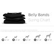 Show in main carousel: Pet Parents Belly Band Washable Male Dog Wrap + Extendrs, Black, Large: 20 to 25-in waist slide 6 of 10