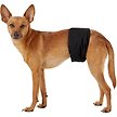 Show in main carousel: Pet Parents Belly Band Washable Male Dog Wrap + Extendrs, Black, Large: 20 to 25-in waist slide 9 of 10