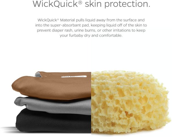 Show full view: Pet Parents Belly Band Washable Male Dog Wrap + Extendrs, Natural, Medium: 16 to 20-in waist slide 3 of 10