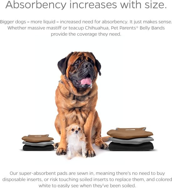 Show full view: Pet Parents Belly Band Washable Male Dog Wrap + Extendrs, Natural, Medium: 16 to 20-in waist slide 4 of 10