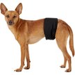 Show in main carousel: Pet Parents Belly Band Washable Male Dog Wrap + Extendrs, Natural, Medium: 16 to 20-in waist slide 9 of 10