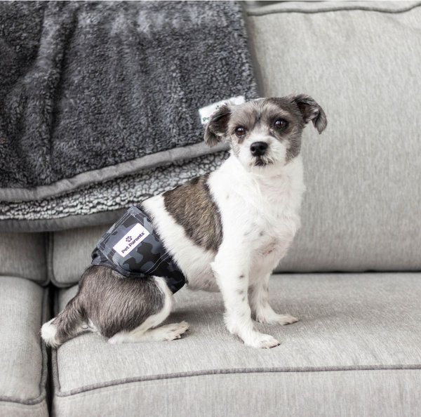 Show full view: Pet Parents Belly Band Washable Male Dog Wrap + Extendrs, Camo, Large: 20 to 25-in waist slide 9 of 10