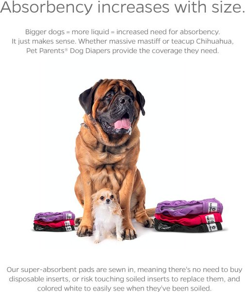 Show full view: Pet Parents Washable Male & Female Dog Diapers + Extendrs, Princess, X-Small: 4 to 10-in waist slide 4 of 10