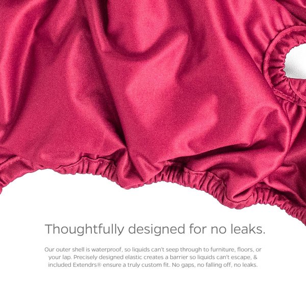 Show full view: Pet Parents Washable Male & Female Dog Diapers + Extendrs, Princess, X-Small: 4 to 10-in waist slide 8 of 10