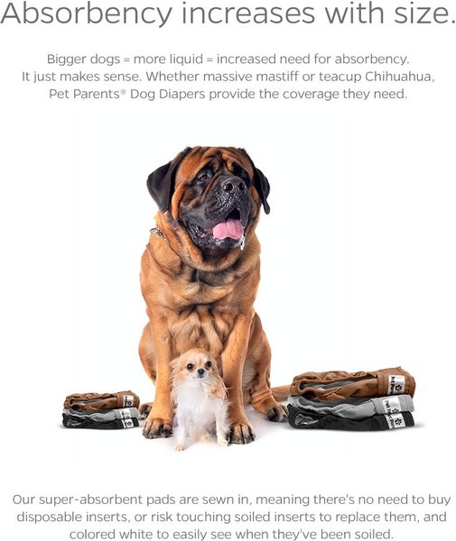 Show full view: Pet Parents Washable Male & Female Dog Diapers + Extendrs, Natural, X-Small: 4 to 10-in waist slide 4 of 10