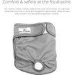Show in main carousel: Pet Parents Washable Male & Female Dog Diapers + Extendrs, Natural, X-Small: 4 to 10-in waist slide 5 of 10