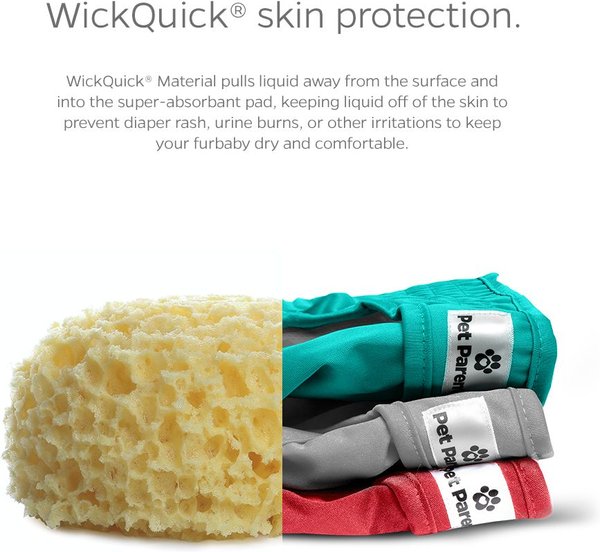 Show full view: Pet Parents Washable Male & Female Dog Diapers + Extendrs, Southern Belle, Medium: 14 to 20-in waist slide 3 of 10