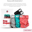 Show in main carousel: Pet Parents Washable Male & Female Dog Diapers + Extendrs, Southern Belle, Large: 19 to 27-in waist slide 2 of 10