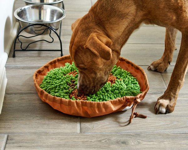 Show full view: Pet Parents Forager Snuffle Mat & Slow Feeder Dog Bowl, Meadow Natural slide 9 of 10