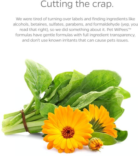 Show full view: Pet Parents Pet WiPees Dog All Purpose Skin & Coat Dog Wipes, 100 count, Calming slide 4 of 9