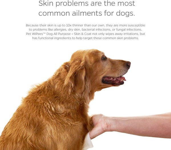 Show full view: Pet Parents Pet WiPees Dog All Purpose Skin & Coat Dog Wipes, 100 count, Calming slide 5 of 9
