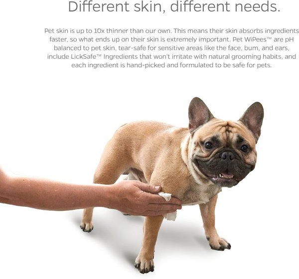 Show full view: Pet Parents Pet WiPees Dog All Purpose Skin & Coat Dog Wipes, 100 count, Calming slide 9 of 9