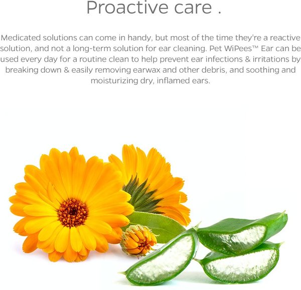 Show full view: Pet Parents Pet WiPees Natural Scent Cat & Dog Ear Wipes, 100 count slide 3 of 9