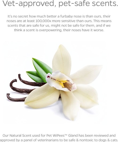 Show full view: Pet Parents Pet WiPees Natural Scent Cat & Dog Gland Grooming Wipes, 100 count slide 8 of 10