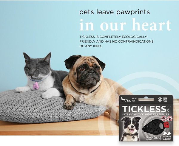 Show full view: Tickless Class Pet Natural Tick & Flea Repeller Cat & Dog Collar, Black slide 8 of 9