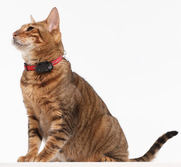 Show full view: Tickless Mini Dog Tick & Flea Repellent, Black slide 5 of 9