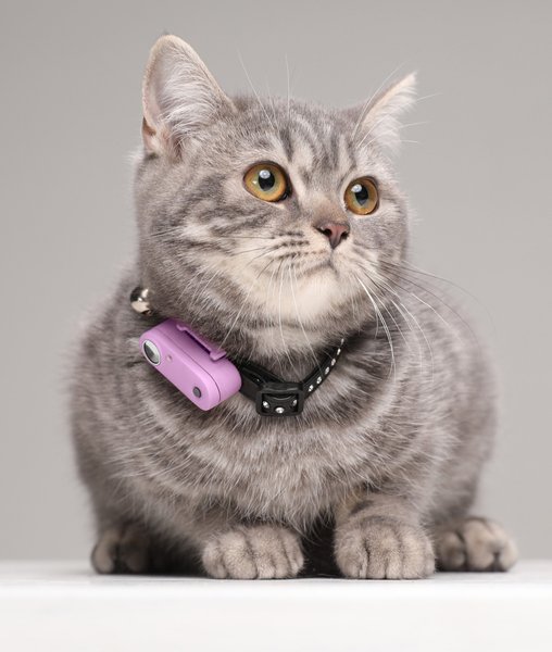 Show full view: Tickless Mini Dog Tick & Flea Repellent, Purple slide 5 of 7