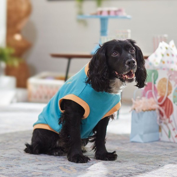 Show full view: Frisco Lion Celebration Dog & Cat T-Shirt, Large slide 6 of 8