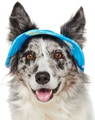 Frisco UPF 45 Cooling River Watercolor Dog & Cat Bucket Hat, Medium/Large