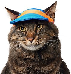 Frisco UPF 50+ Colorblock Dog & Cat Cap, Red, X-Small/Small