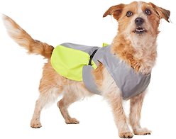 Frisco Reflective Dog Safety Vest, Large