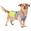 Show in main carousel: Frisco Reflective Dog Safety Vest, Large slide 1 of 9