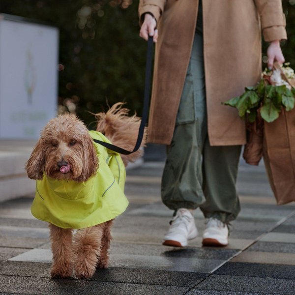 Show full view: Frisco Dog Cape Raincoat, Yellow, Large slide 8 of 10