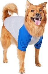 Frisco Baseball Dog & Cat T-Shirt, Blue, X-Large