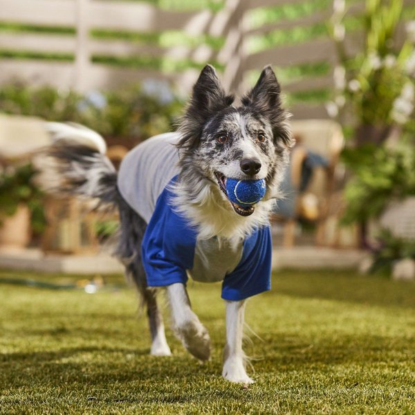 Show full view: Frisco Baseball Dog & Cat T-Shirt, Blue, X-Large slide 6 of 8