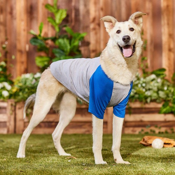 Show full view: Frisco Baseball Dog & Cat T-Shirt, Blue, XX-Large slide 6 of 8