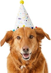 Frisco Confetti Dog & Cat Birthday Hat, Medium/Large