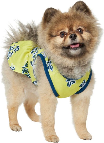 Show full view: Frisco Aloha Palm Leaf Dog & Cat Dress, Green, Small slide 3 of 9