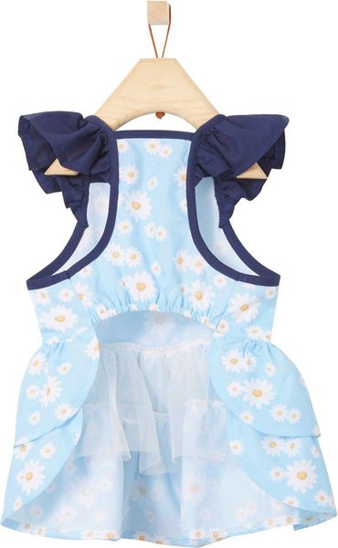 Show full view: Frisco Blue Daisies Dog & Cat Dress, Medium slide 4 of 7