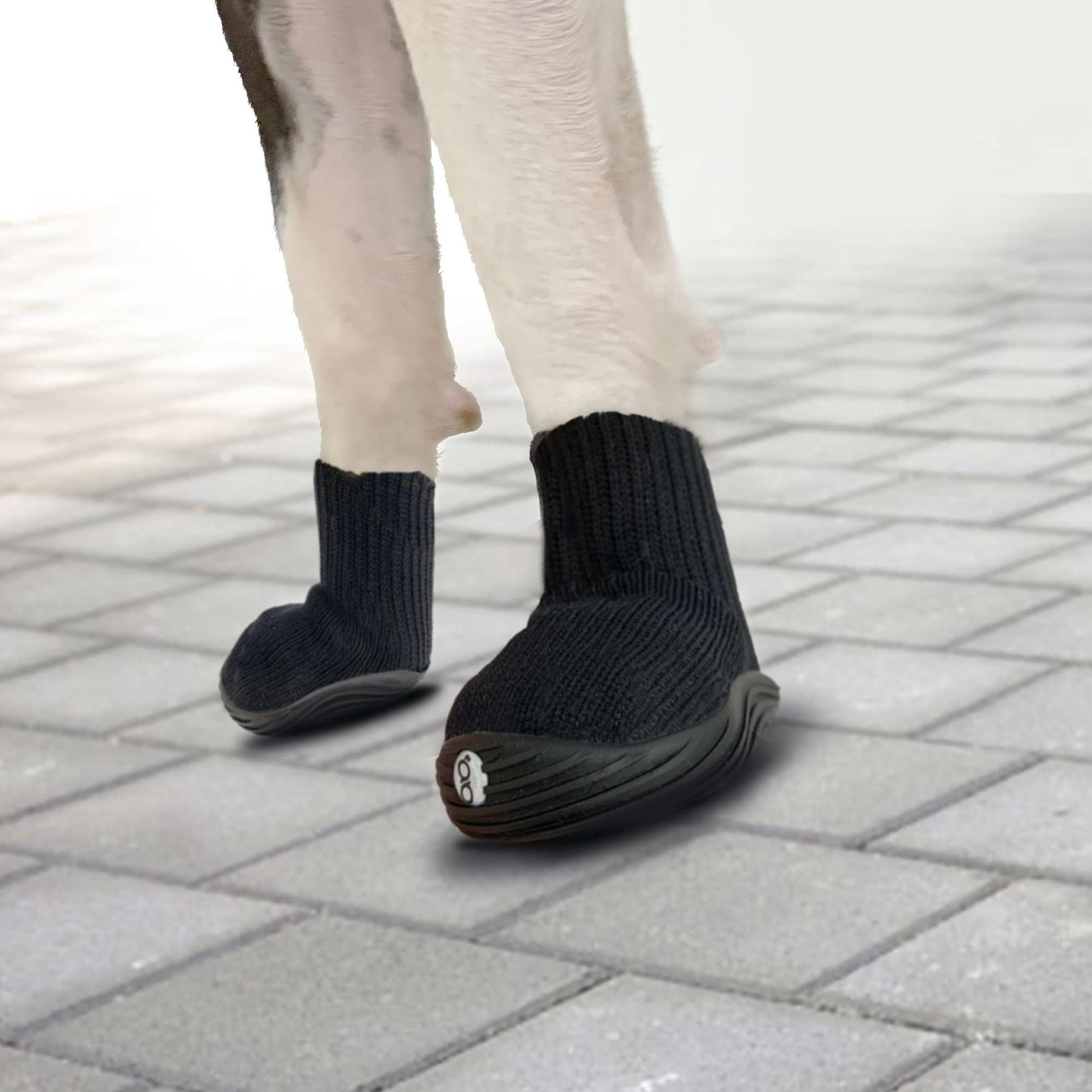 GOO-EEZ Ultra Dog Boots, 2 pack, Black, Medium - Chewy.com | Chewy