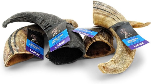 Discontinued ICELANDIC+ Lamb Horn Dog Treat, 3-oz horn, count