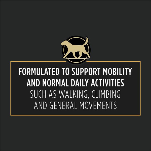 Show full view: Purina Pro Plan Veterinary Supplements Joint Care Canine Joint Support Supplement for Medium & Large Dogs, 150-g pouch slide 3 of 9