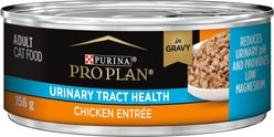 Purina Pro Plan Urinary Tract Health Chicken Entrée Wet Cat Food, 156-g can, case of 24