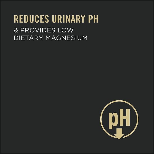 Show full view: Purina Pro Plan Urinary Tract Health Chicken Entrée Wet Cat Food, 156-g can, case of 24 slide 3 of 9