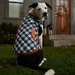 Show in main carousel: Disney Lightweight Mickey Quilted Bomber Dog & Cat Jacket, X-Small slide 7 of 8