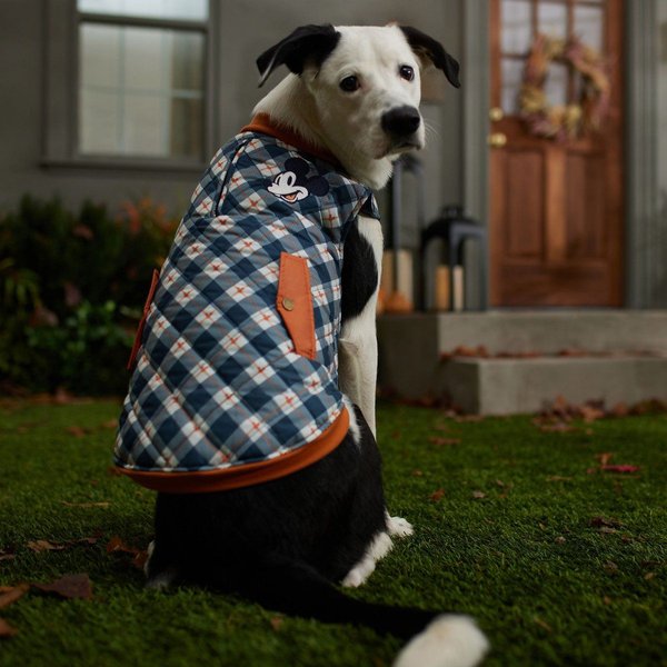 Show full view: Disney Lightweight Mickey Quilted Bomber Dog & Cat Jacket, XXX-Large slide 6 of 7
