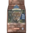 Show in main carousel: Blue Buffalo Wilderness Beef + Wholesome Grains High-Protein Natural Puppy Dry Dog Food, 2-kg bag slide 1 of 4