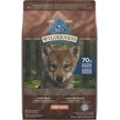 Show in main carousel: Blue Buffalo Wilderness Beef + Wholesome Grains High-Protein Natural Puppy Dry Dog Food, 10.8-kg bag slide 1 of 4