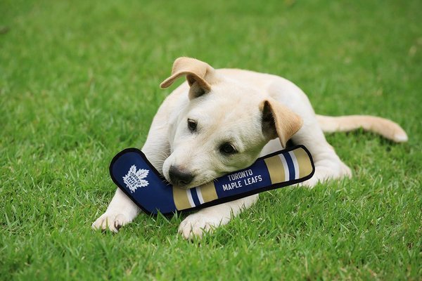 Show full view: Pets First NHL Hockey Stick Plush Dog Toy, Toronto Maple Leafs slide 3 of 4