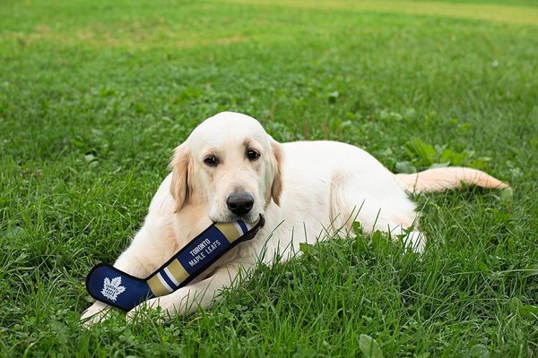 Show full view: Pets First NHL Hockey Stick Plush Dog Toy, Toronto Maple Leafs slide 4 of 4