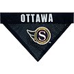 Show in main carousel: Pets First NHL Hockey Dog & Cat Reversible Bandana, Ottawa Senators, Small/Medium slide 3 of 5
